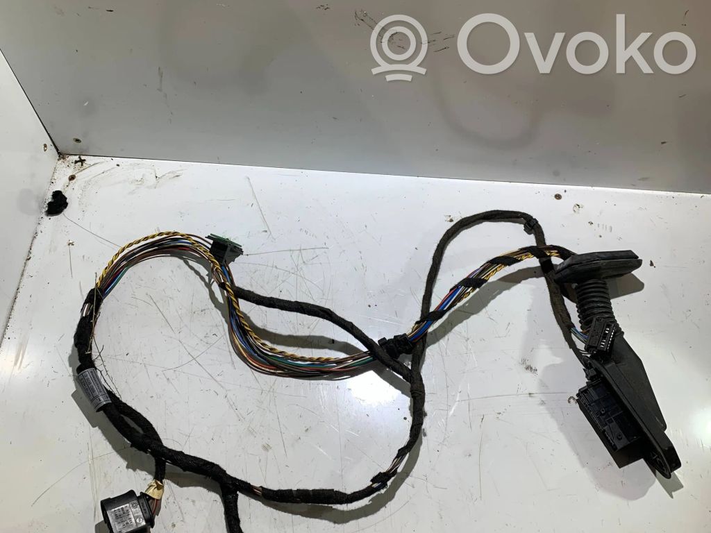 BMW X3 E83 Cableado de puerta trasera 