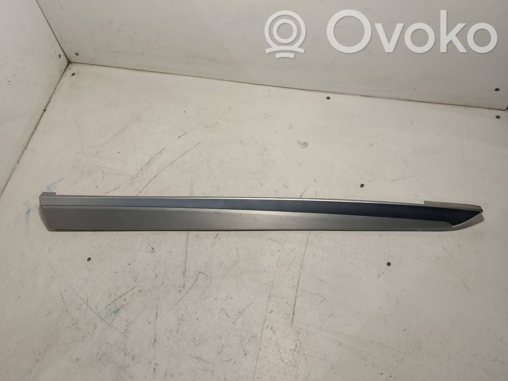 BMW 5 F10 F11 Alte componente panou ușă spate 