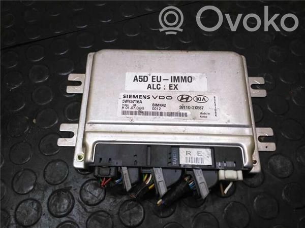 Engine control unit/module ECU   391102X567