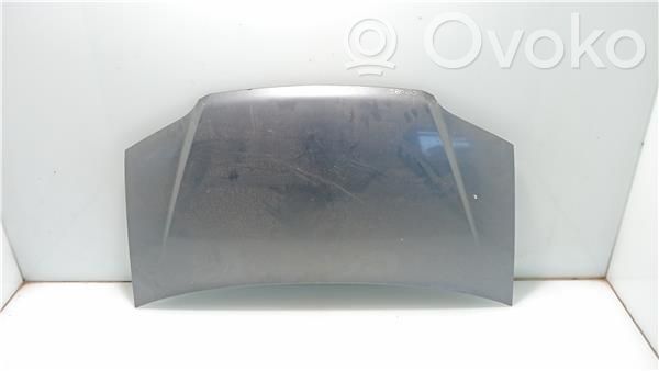 Motorhaube   GRIS,ZFA35000000008095