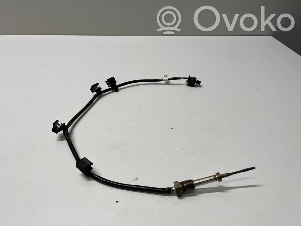 BMW 5 G30 G31 G38 Exhaust gas temperature sensor 