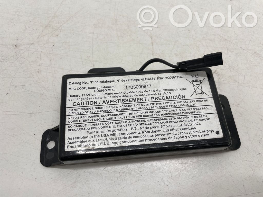 Other control units/modules   42454411