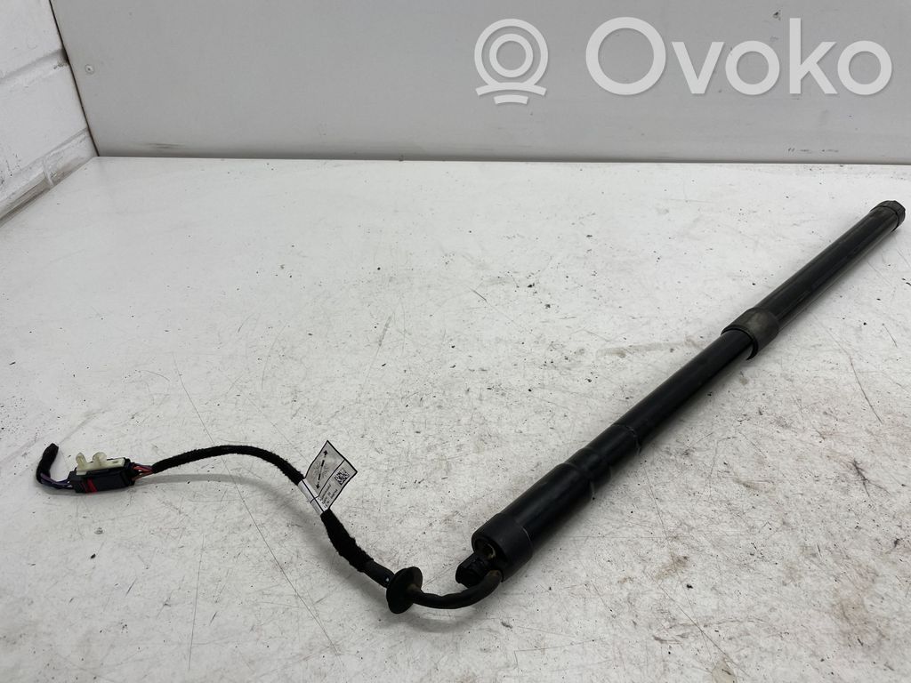 Land Rover Range Rover Sport L494 Amortizor hayon 