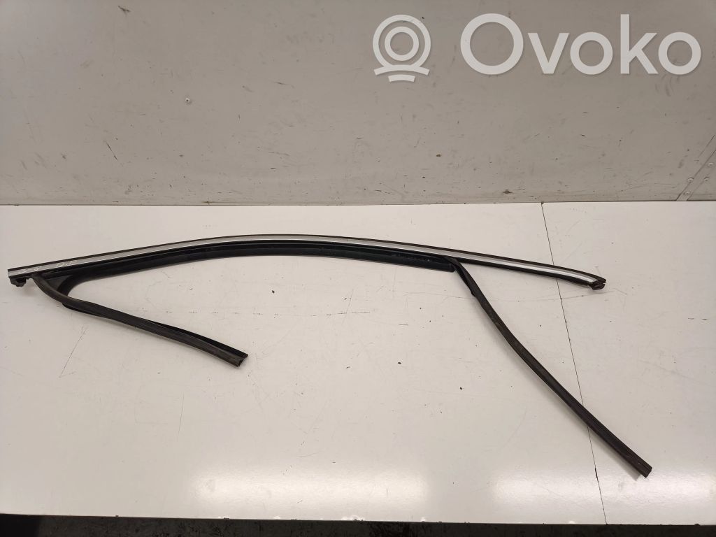 Volkswagen PASSAT B8 Cheder cauciuc ușă față (pe ușă) 