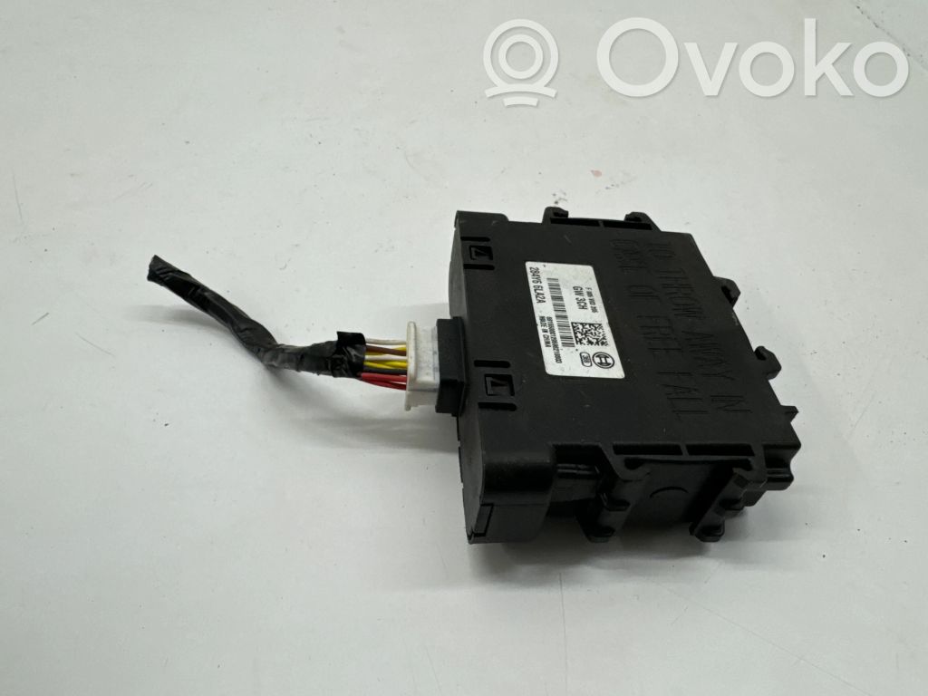 Dacia Spring Other control units/modules 