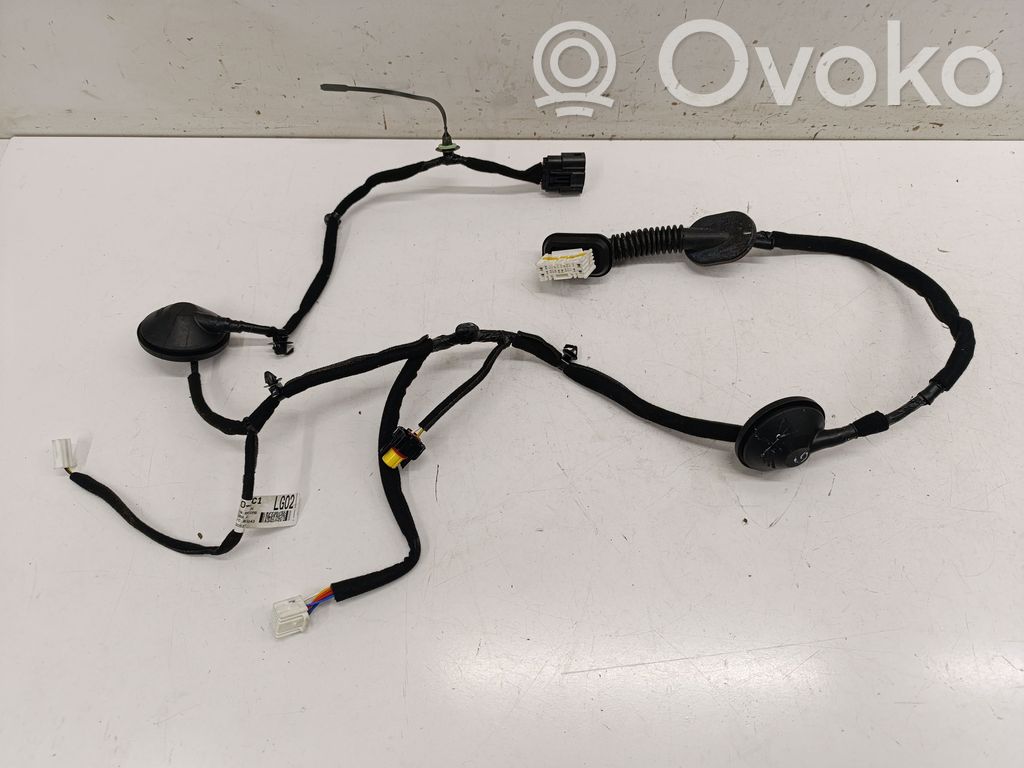 KIA Niro Cableado de puerta trasera 
