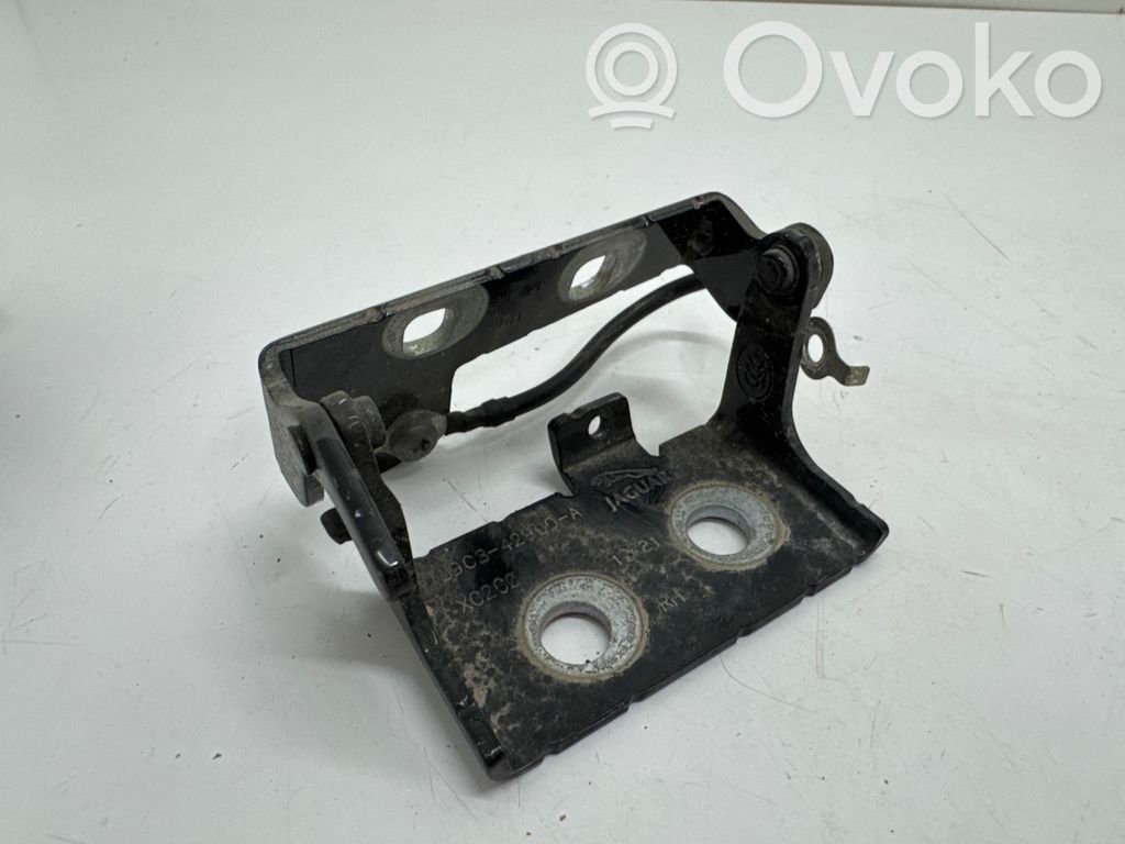 Jaguar E-Pace Tailgate/trunk/boot hinge 