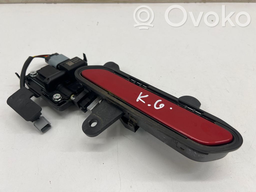 KIA EV6 Manecilla externa puerta trasera 