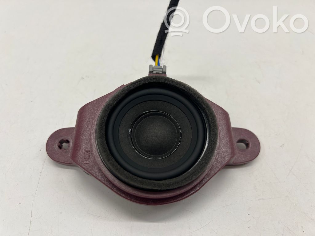 KIA EV6 Rear door speaker 
