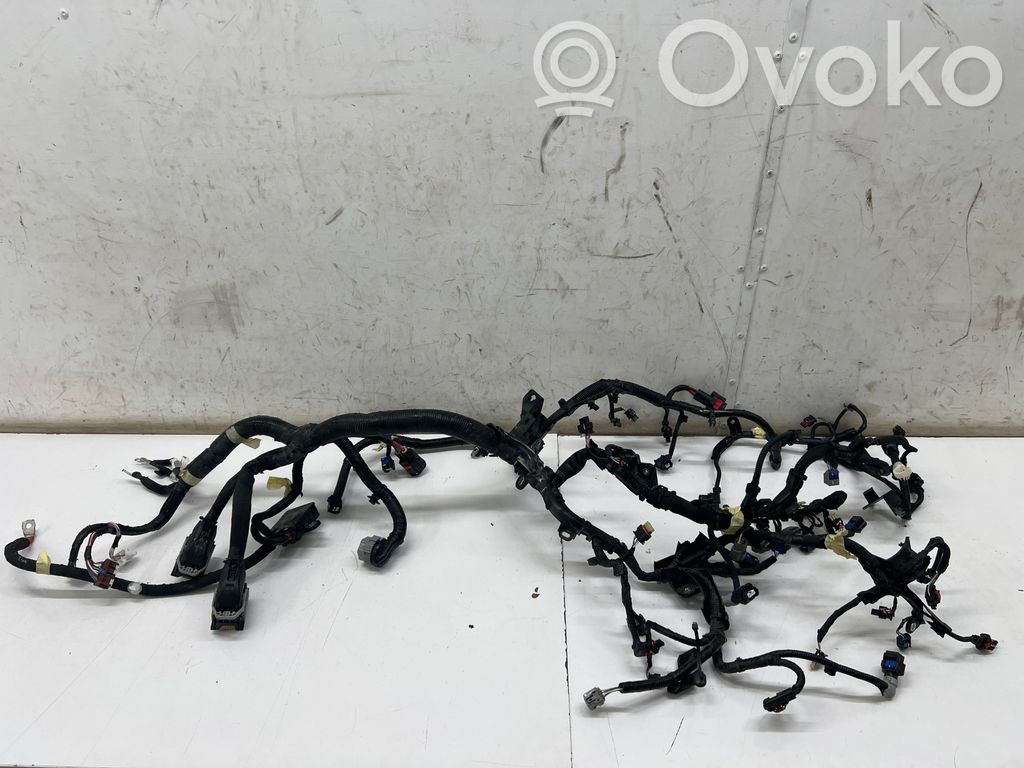 Renault Austral Cablaj motor 