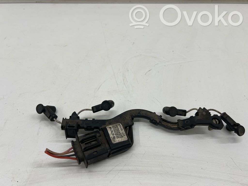 Citroen Berlingo Hehkutulpan johdot 