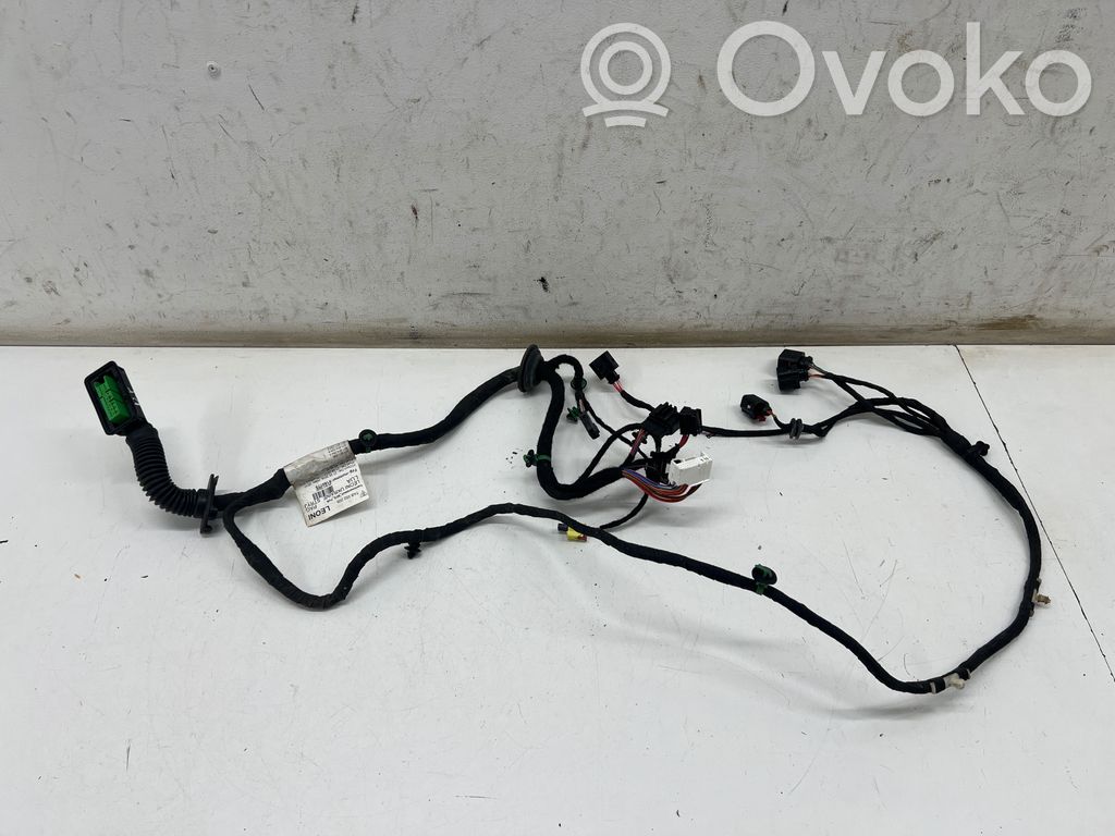 Porsche Panamera (971) Cableado de puerta delantera 