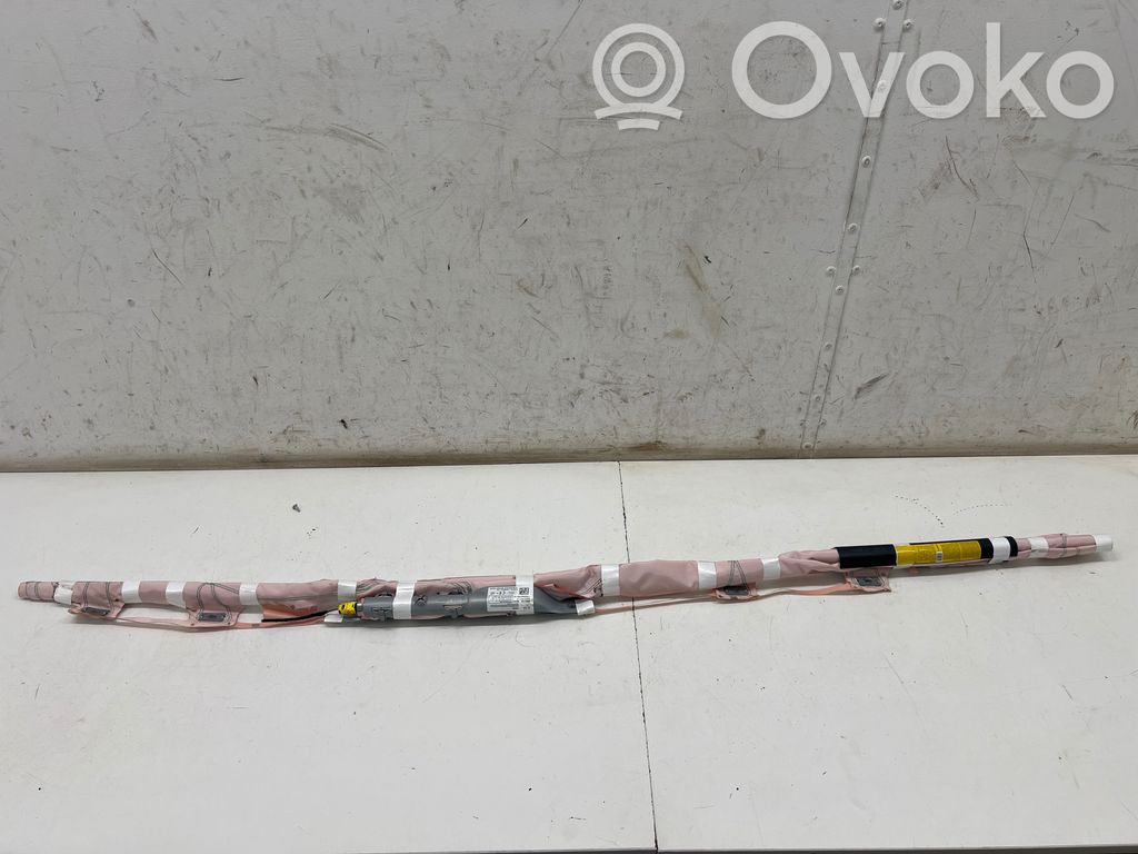 Ford Ecosport Airbag del techo 
