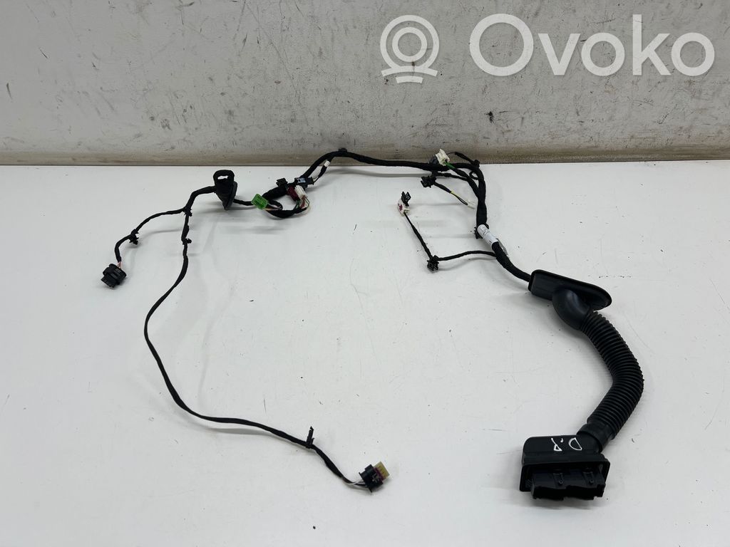 Mercedes-Benz EQE v295 Cableado de puerta delantera