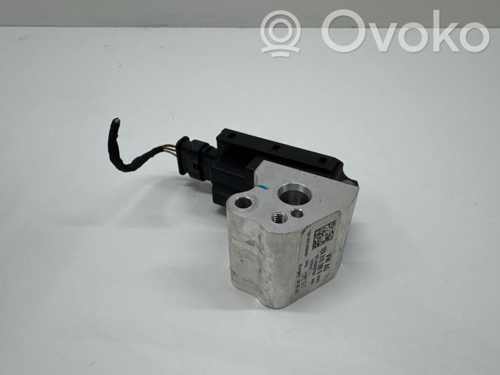Zawór rozprężny klimatyzacji A/C   1EA816590B,VE1A0G6FAA,314056462
