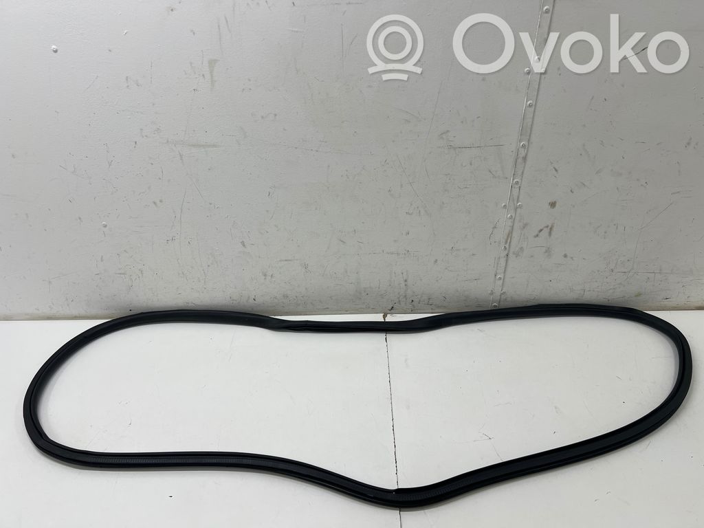 Opel Vivaro Junta de goma de la puerta delantera 