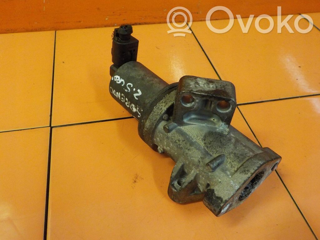 KIA Sorento EGR termostatas 