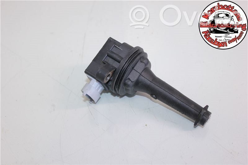 High voltage ignition coil   1371601,0221604010,30713417