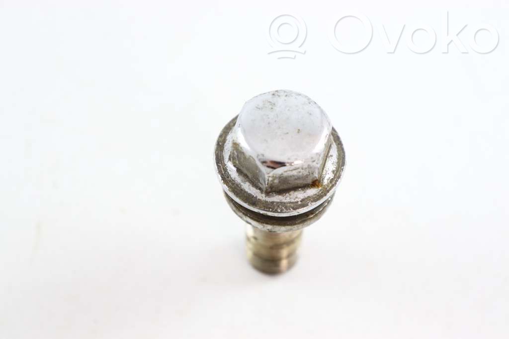 Mutterit/pultit   31362432