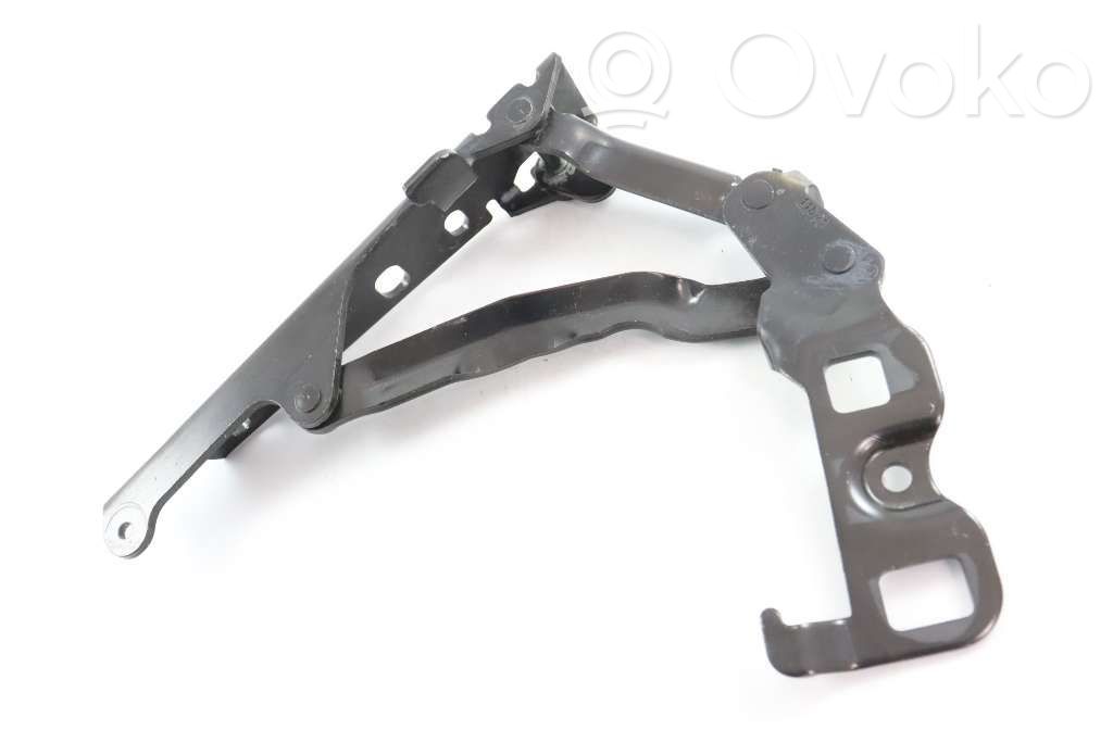 Tailgate/trunk/boot hinge   10426104