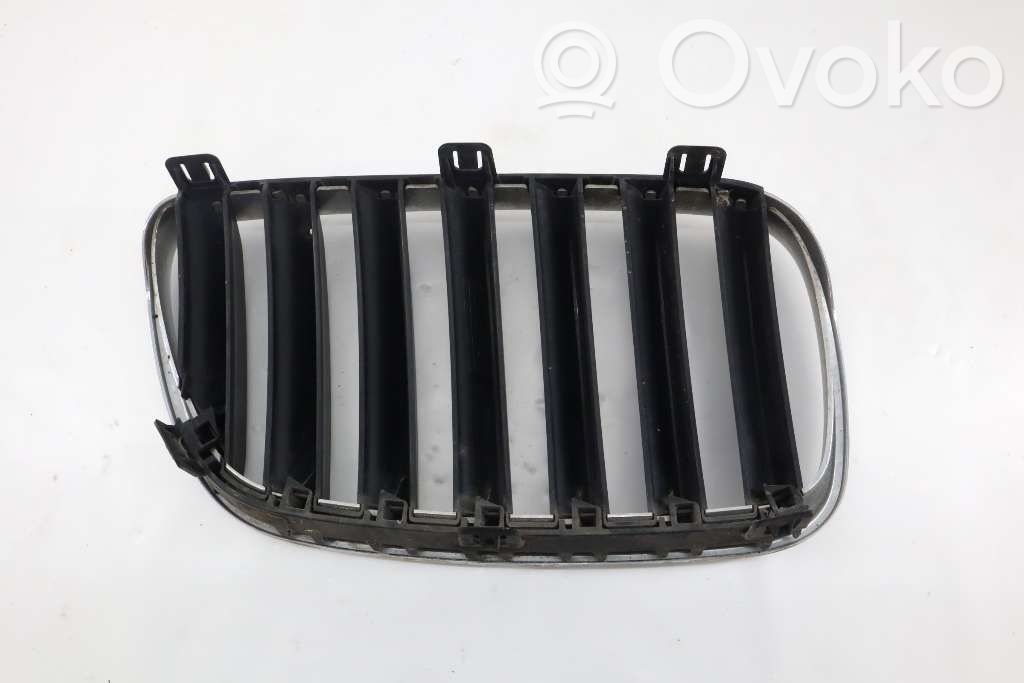 BMW X3 E83 Front bumper lower grill 