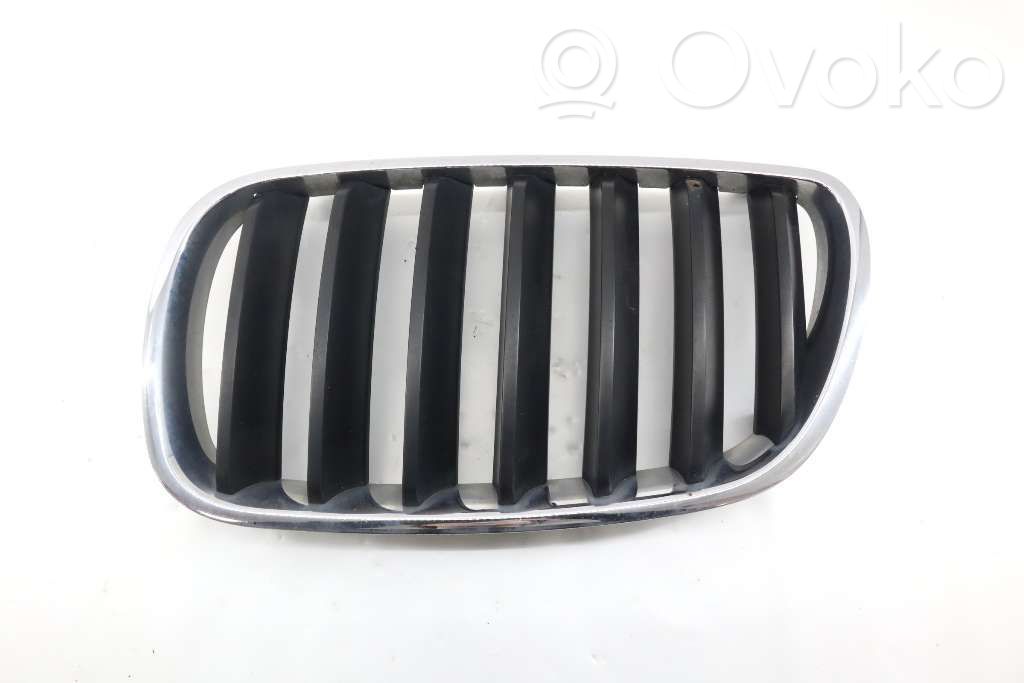 Front bumper lower grill   51113420087,51113420087