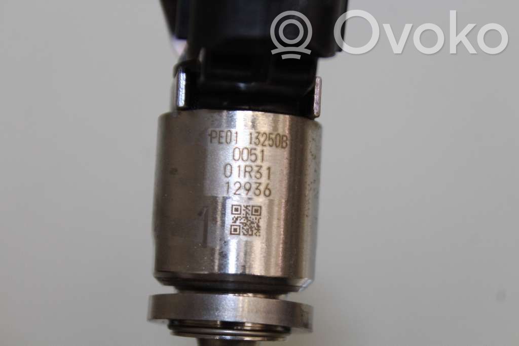 Inyector de combustible   PE0113250B,005101R3112906,PE0113250B