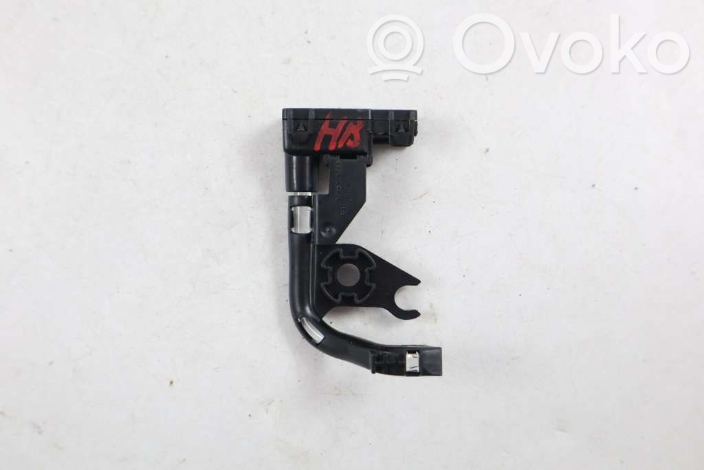 Front door interior light   31425657,31425657