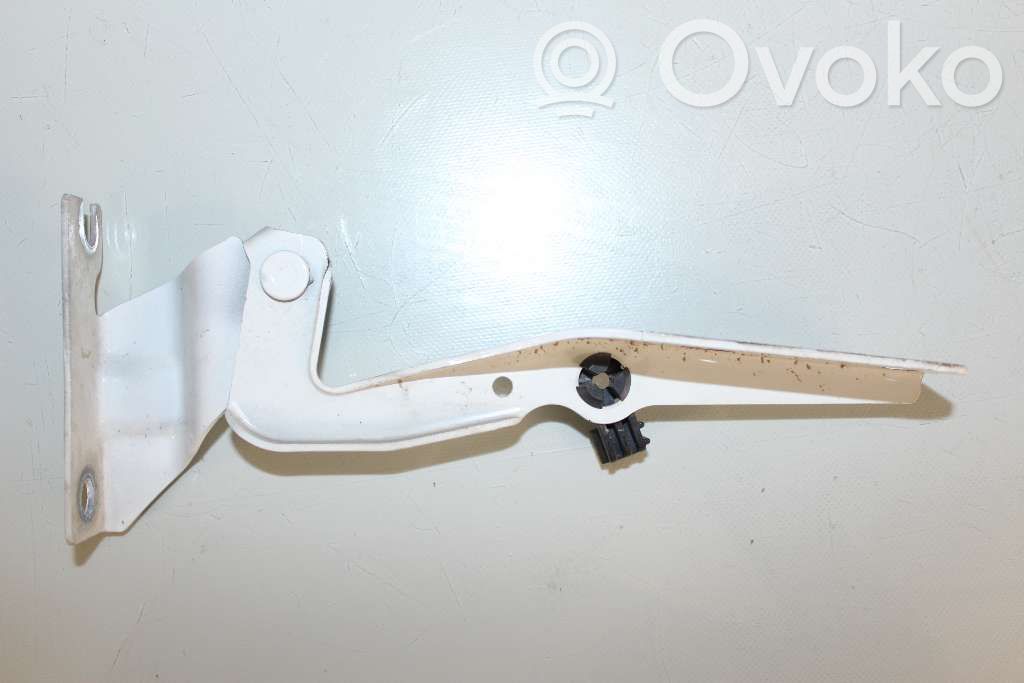 Volkswagen Up Konepellin saranat 