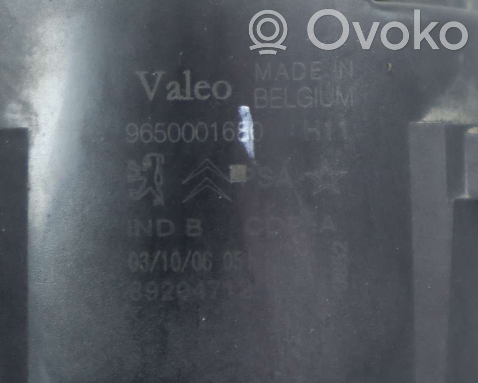 Peugeot 207 Fendinebbia anteriore 