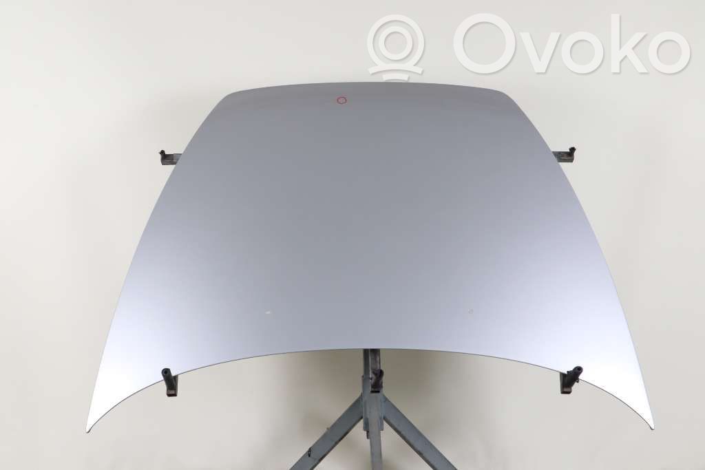 Vano motore/cofano   31371415
