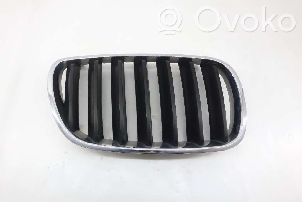 BMW X3 E83 Front bumper lower grill 