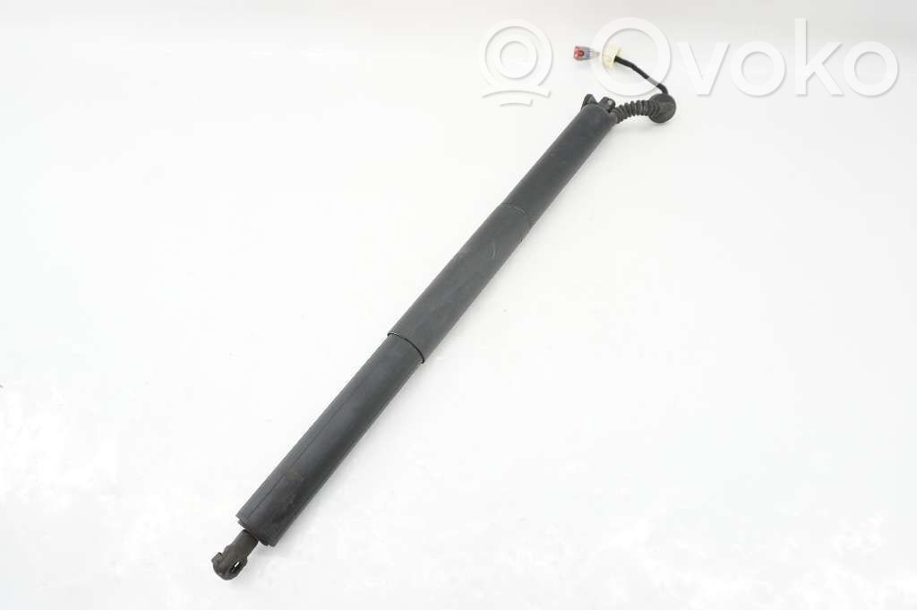 Tailgate strut   1944115