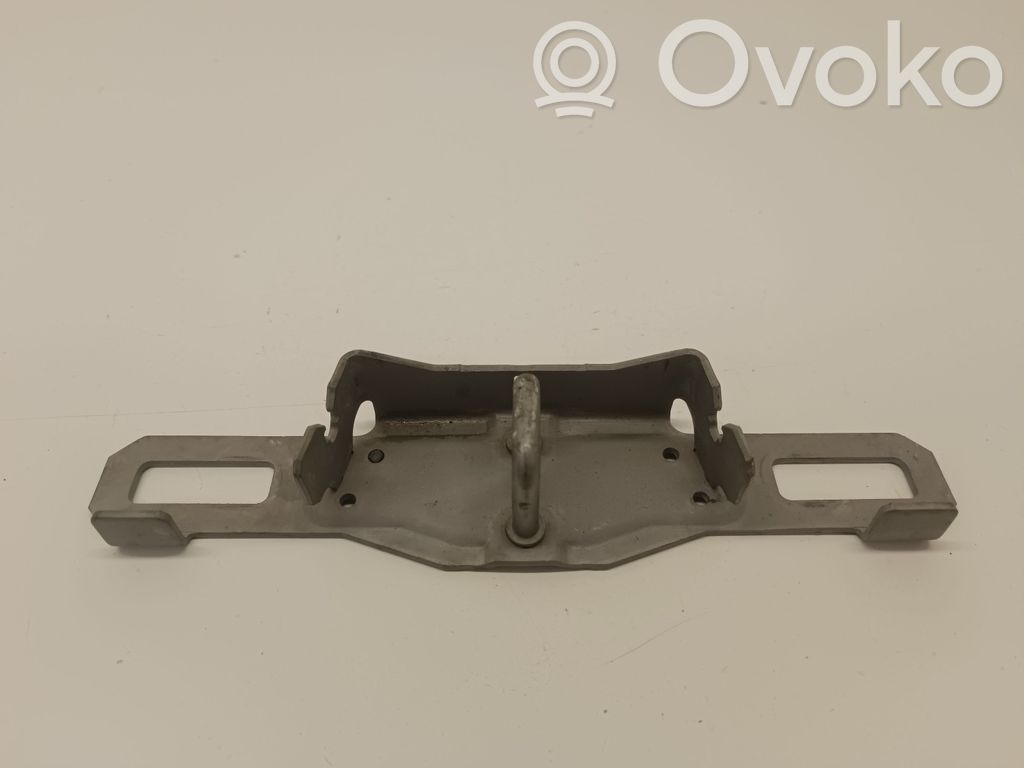 Loading door lock loop/hook striker   39831946