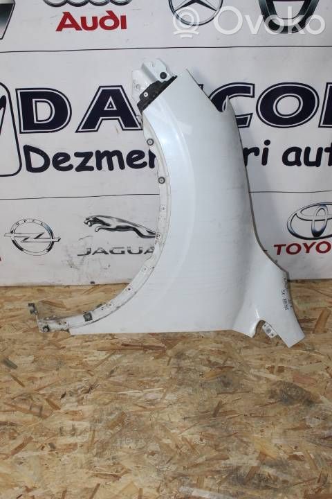 Fender