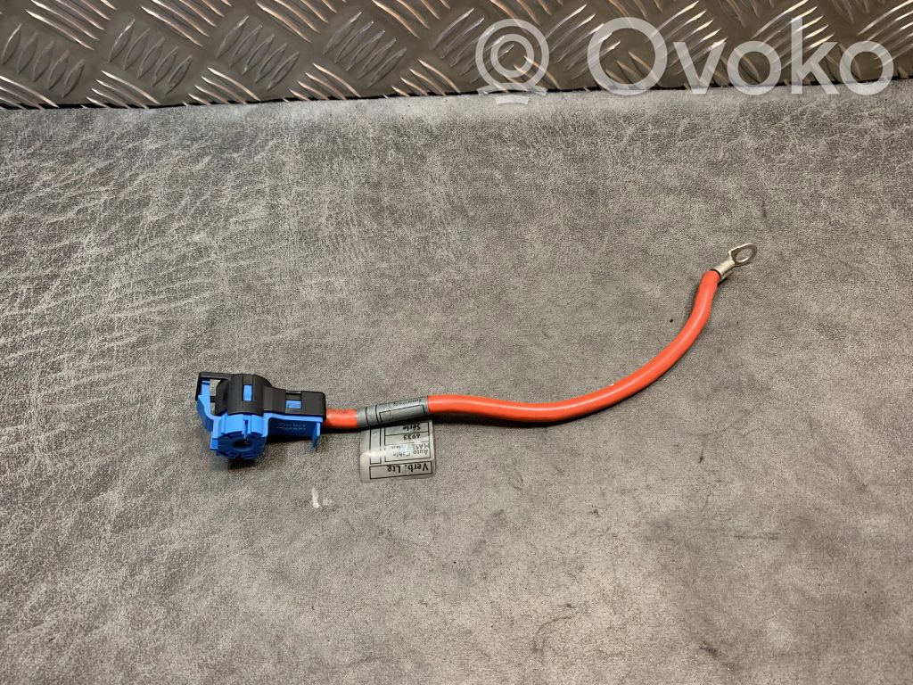 BMW 7 E65 E66 Pliusinis laidas (akumuliatoriaus) 