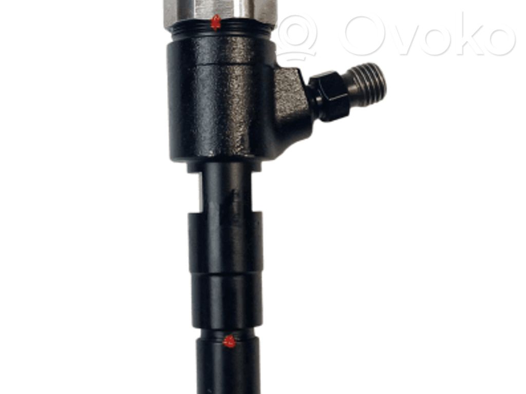 Peugeot 307 CC Injector combustibil 