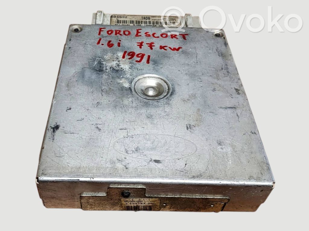 Ford Escort Engine control unit/module 
