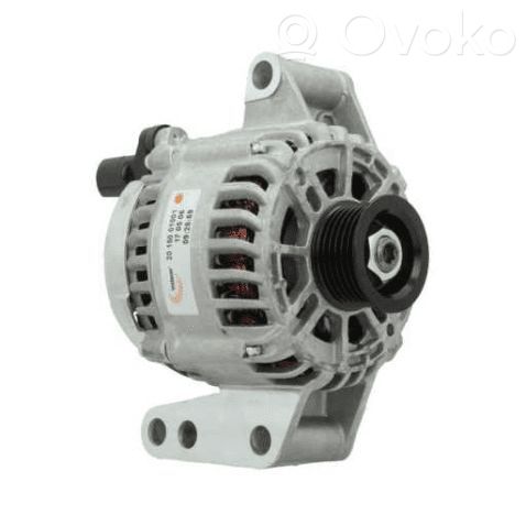 Ford Focus Generatorius 