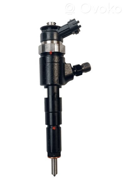 Peugeot 307 Injector combustibil 