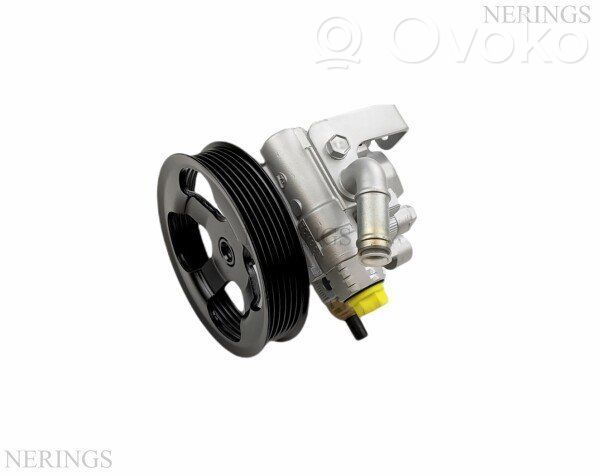 Pompa servosterzo   SP3823,188C0591,37251802,4431005070,4431005090,4431028270,4431035660,4431042070,5002SY,5002TA,5002TF,531997,800633,87359,993323,993330,AF5408,NRG40343,NRGV2,OPCSP01267,QCS7441,SF1135,SF2135,SKCS0040592,VKDL33155,VKDL33247,VKDL33434,ZC2080H,ZCJ2080H