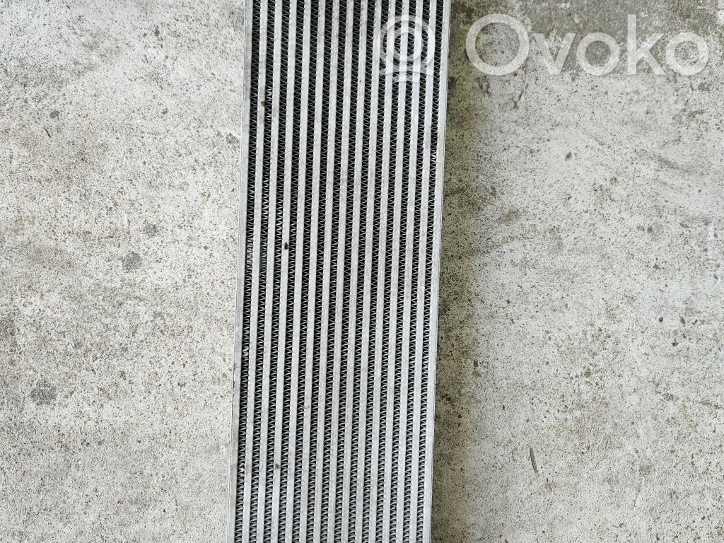 Interkūlerio radiatorius   55038004AE