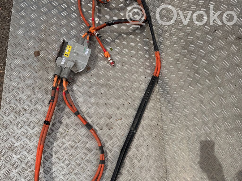 High voltage cable   105450010E