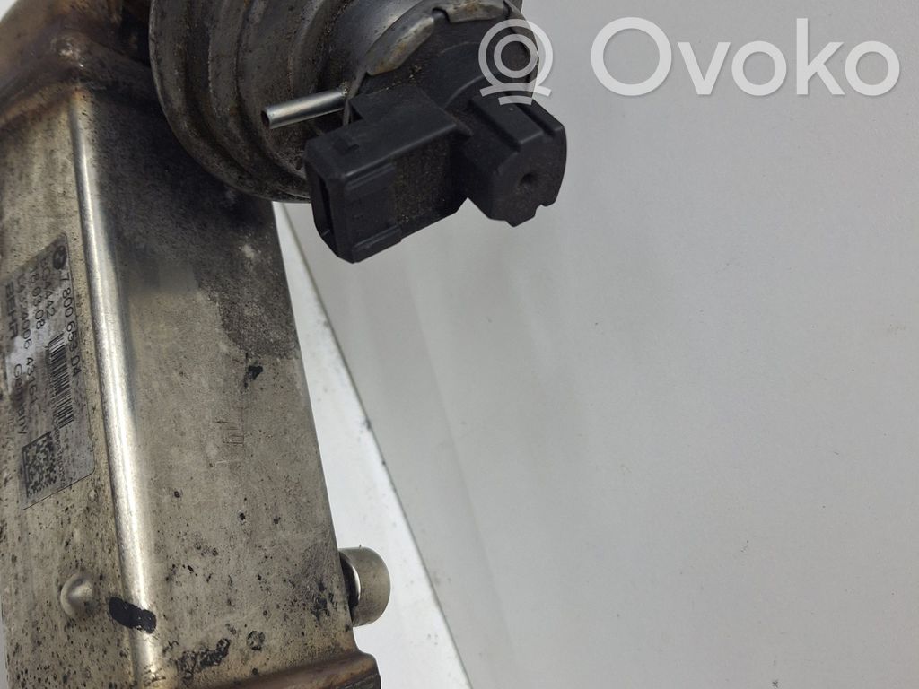 EGR aušintuvas   780065304