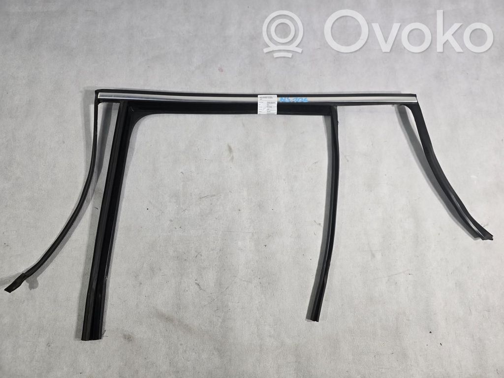 Volkswagen Tiguan Rivestimento modanatura del vetro della portiera posteriore