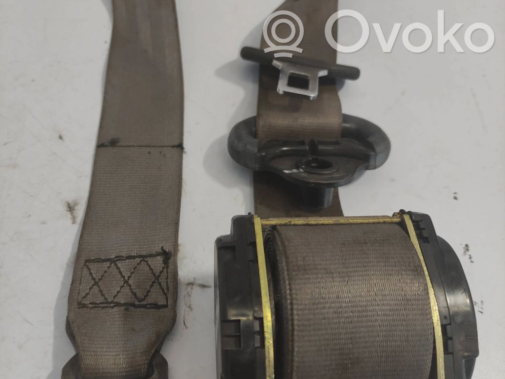 Cinturón trasero   7M0857811E,560048929,01039932