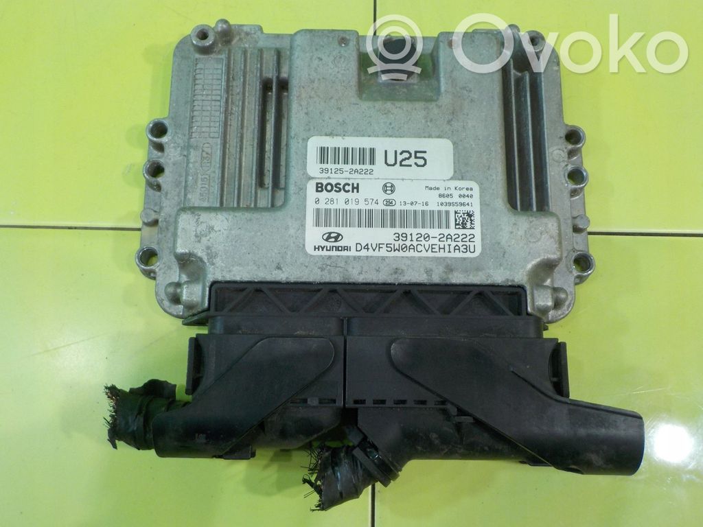 Engine control unit/module   391202A222,XP259