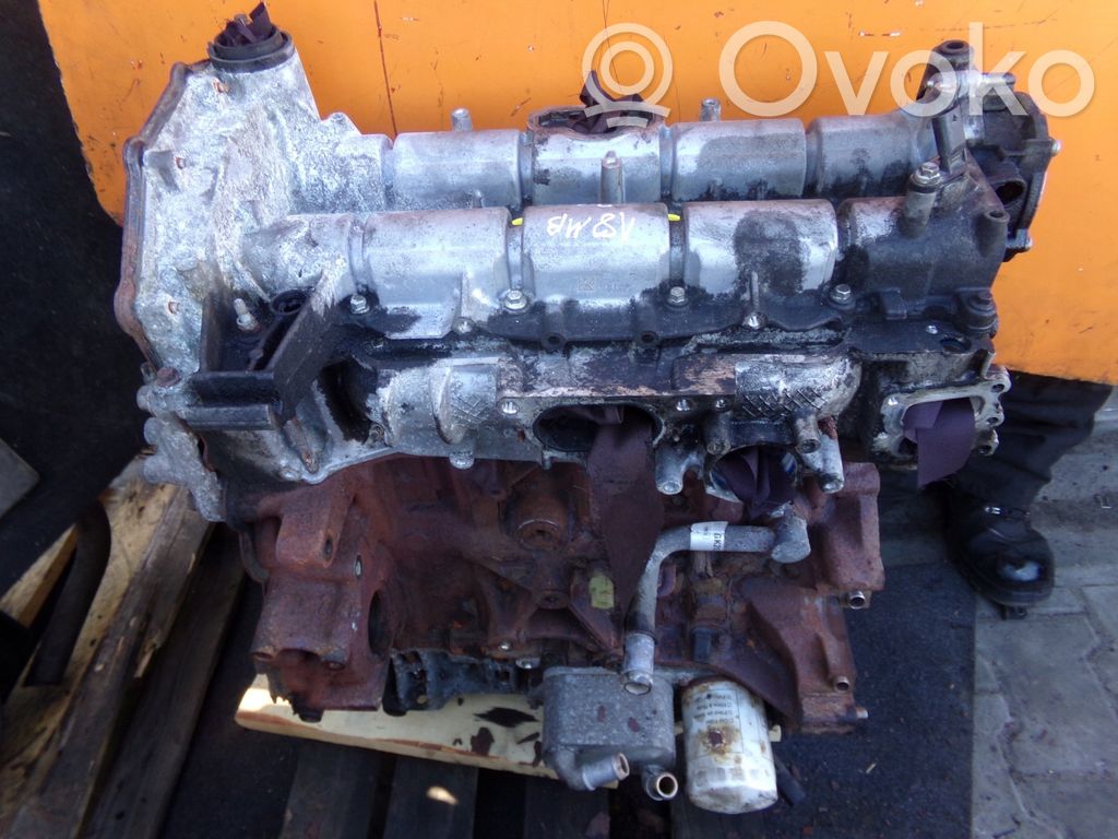Ford Transit VII Motor 