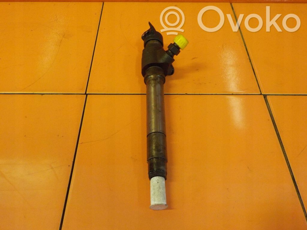 Land Rover Discovery 3 - LR3 Injector combustibil 