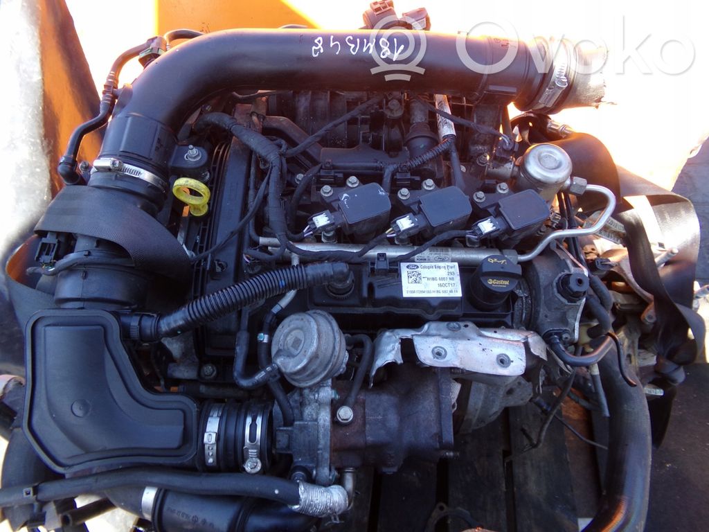 Ford Fiesta Moteur